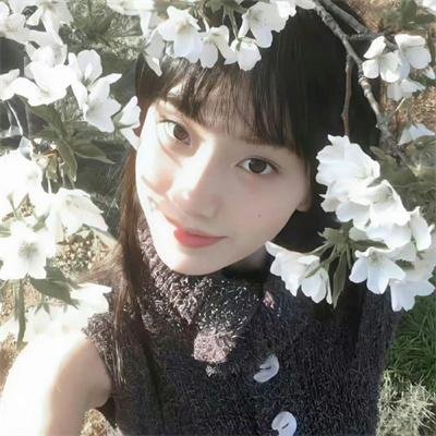 暴风圈